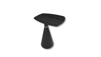 cone maxxi pavia 1.jpg