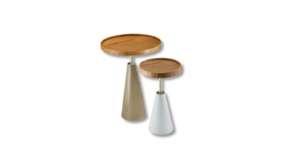 cone mimo pavia 1.jpg