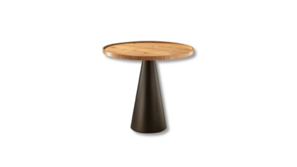 cone mimo pavia.jpg