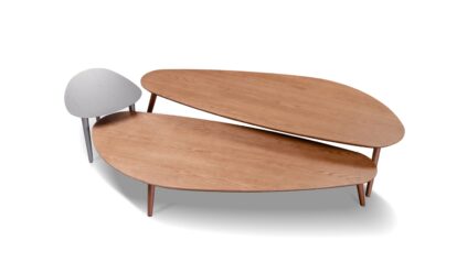 centro leaf 2 jpg 20230726072114 1440x810 f.jpg