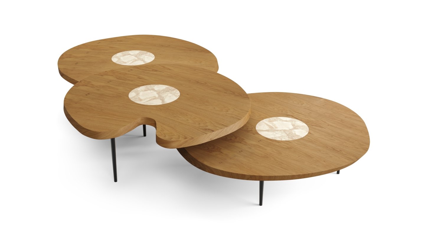 mesa de centro ninfeia jpg 20240627103600 1440x810 f.jpg